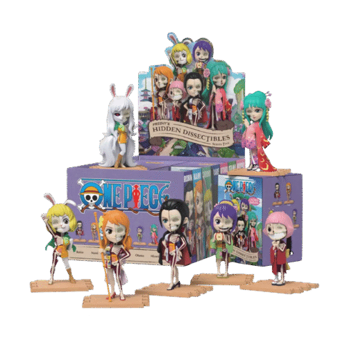 Mighty Jaxx – Hidden Dissectibles One Piece Blind Box (Series 5 – Ladies)